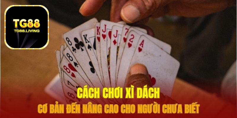 cách chơi xì dách